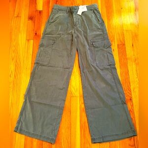 American Eagle Outfitters Gray Cargo Pants